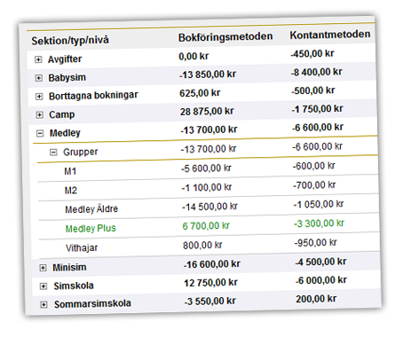 Bild: Redovisning